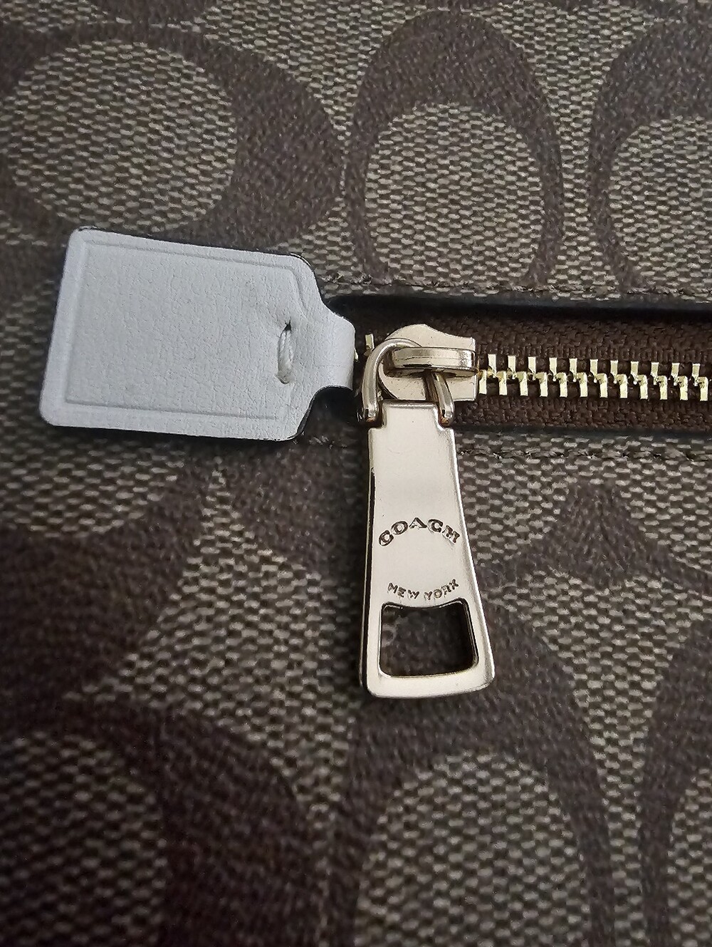 COACH SIGNATURE ROWAN - Picture 6 of 7